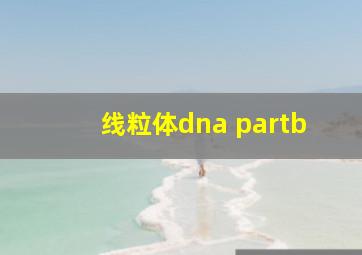 线粒体dna partb